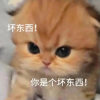 J的频道