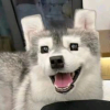 lucky的游戏频道