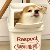 腾讯频道_9799频道图标