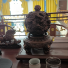 命理解析