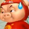 猪猪侠的好友频道