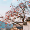 摄影旅游日常频道图标