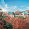 武汉大学新生