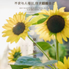 负债上岸法务
