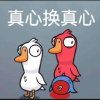 胡萝卜の熊猫.的频道