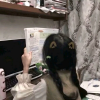 频道头部图标