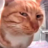一起玩王者