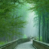 江西商学院