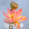 墙！