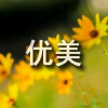 频道头部图标