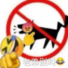 小惊喜和小开心