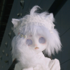日常琐碎