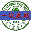 东北农业大学考研群频道图标