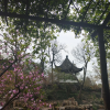 海棠依旧的跑团频道