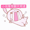 小说分享聊天频道