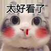 全世界打手聚集地