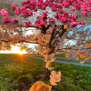 频道头部图标