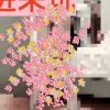 腾讯频道_4971