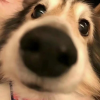 *(|=1的频道