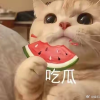 瓜呱呱