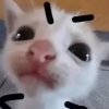 俺爱搞抽象