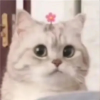 咸鱼杂货铺
