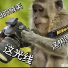 才...才不是搞摄影的频道图标