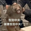 频道头部图标