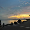 深圳强仔