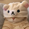 牛奶窝