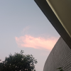 陈陈的小日子