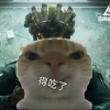 三角洲玩家社区