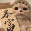 爱宠乐园频道图标