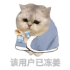 装屁呢