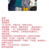 招聘情感聊天师主播的频道