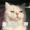 头像壁纸珍藏馆频道图标
