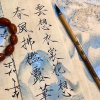 小说合集频道图标