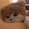 屈侯...