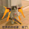 快乐源泉！