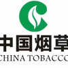 烟草叨叨