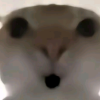 猫meme小剧场分享版