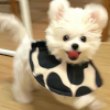 日常琐事分享