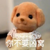频道头部图标