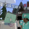 鸡猫的频道