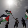 自由巴勒斯坦🇵🇸