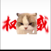 小橙子建筑频道
