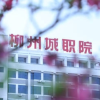 频道头部图标