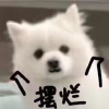 频道头部图标