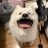 频道头部图标