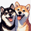 柴犬之家频道图标